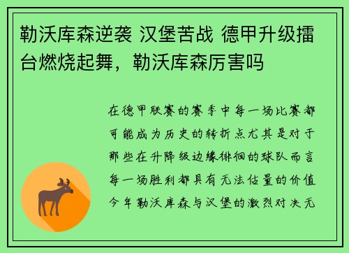 勒沃库森逆袭 汉堡苦战 德甲升级擂台燃烧起舞，勒沃库森厉害吗
