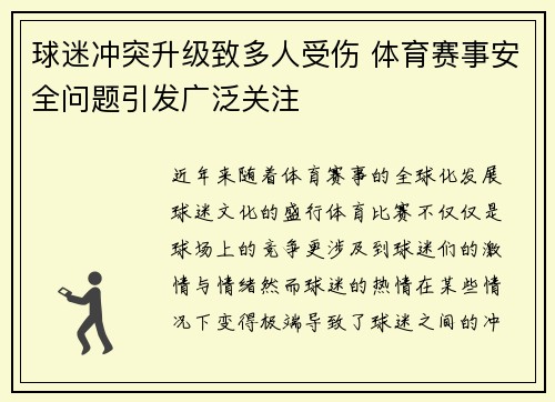 球迷冲突升级致多人受伤 体育赛事安全问题引发广泛关注